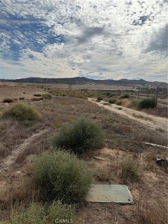 Picture 21