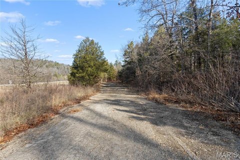 Missouri Wilderness Farm with Highway Frontage
