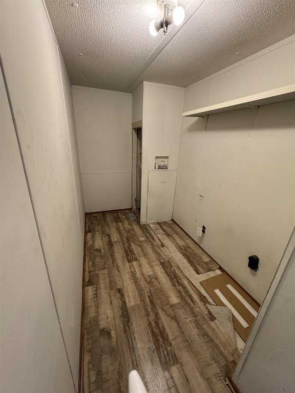 Picture 13