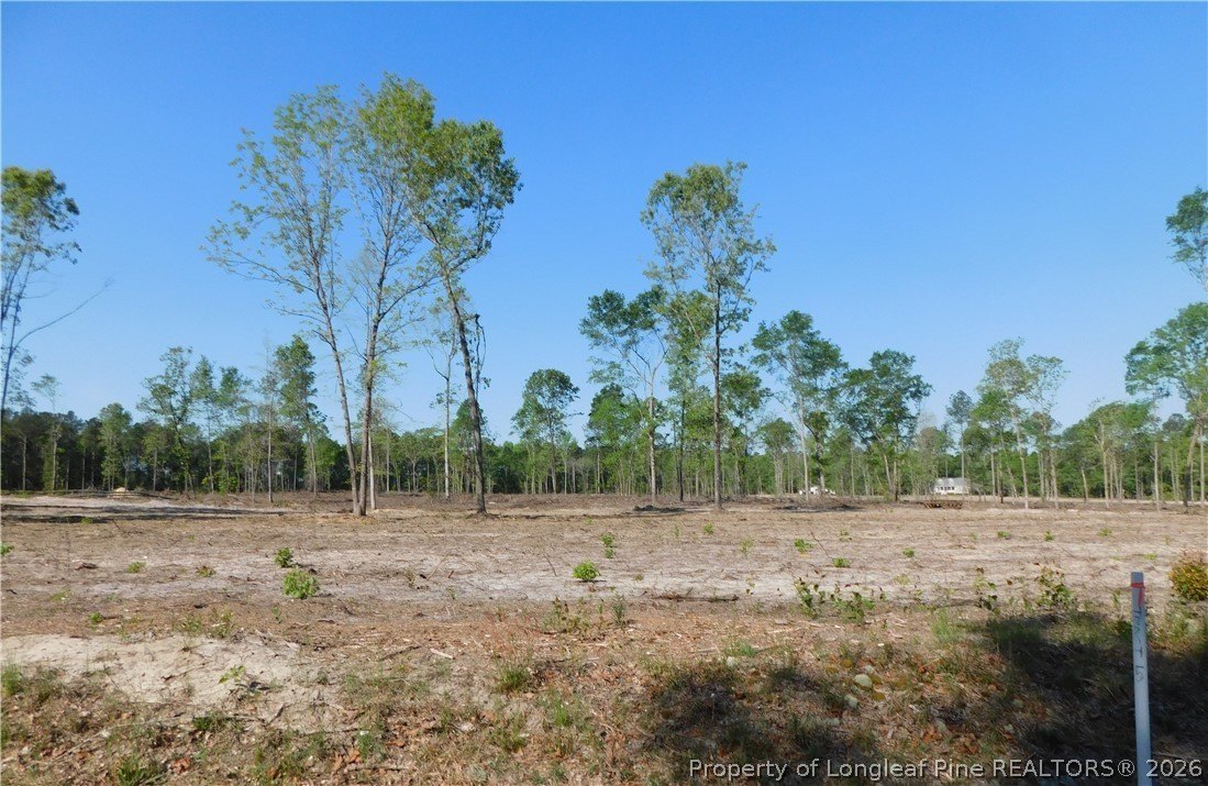 Fairmont, NC Homesite Land