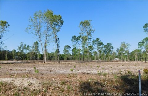 Fairmont, NC Homesite Land