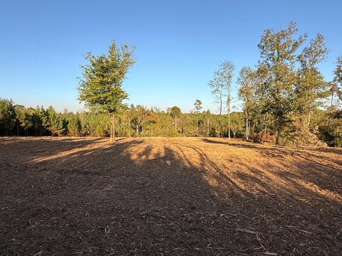 Land, MANSFIELD, TN