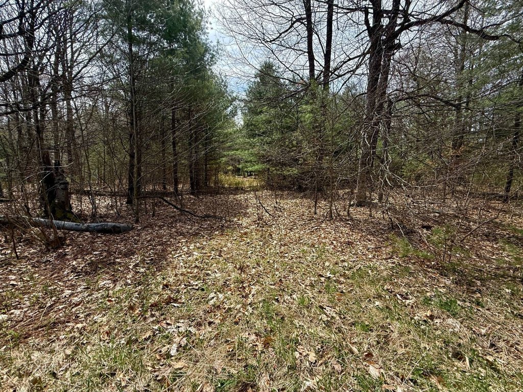 Picture 20