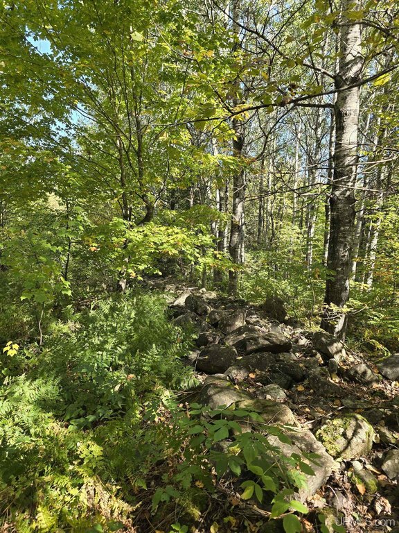 Picture 36