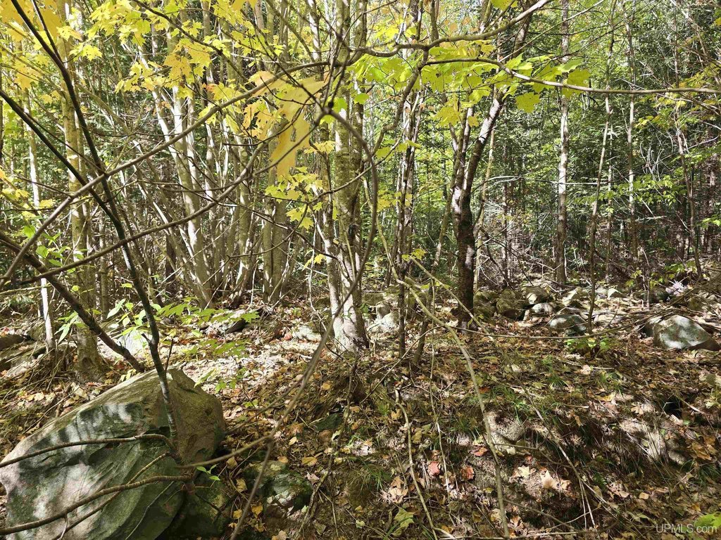 Picture 22
