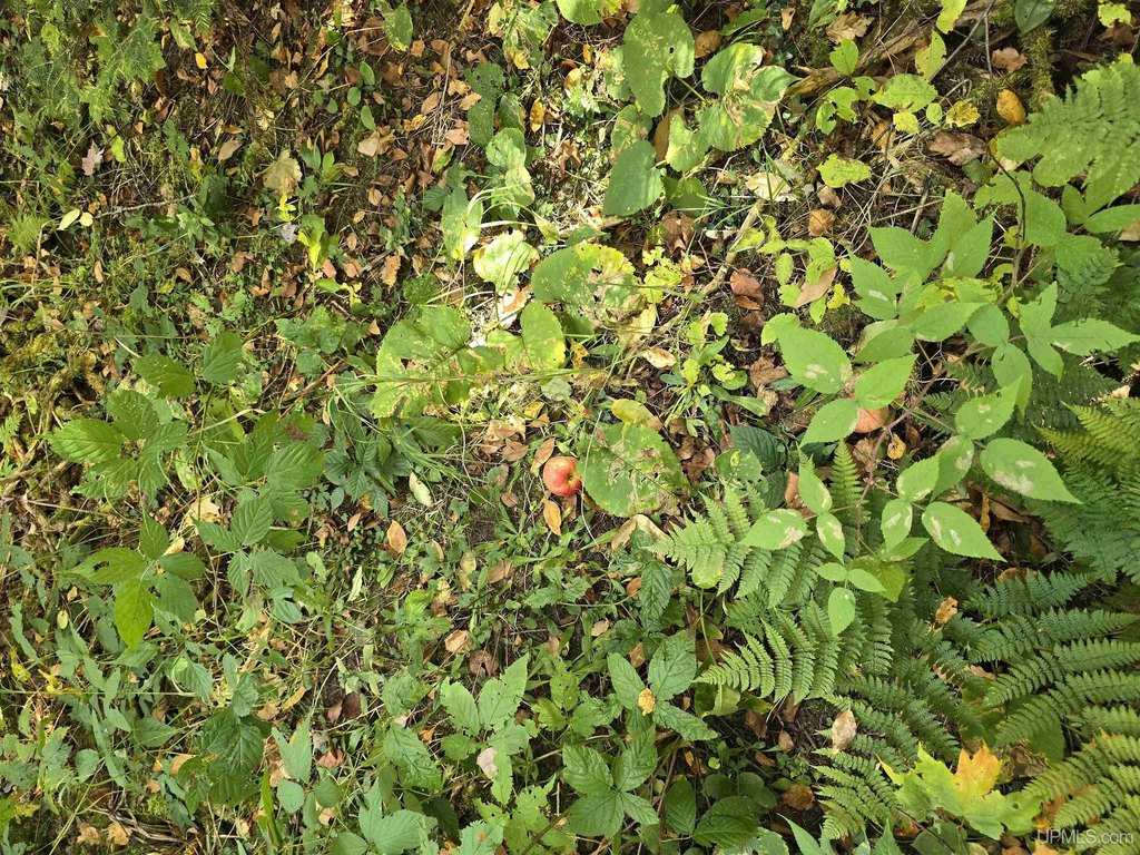 Picture 40