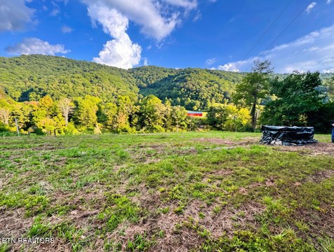 Lots & Acreage, Sneedville, TN