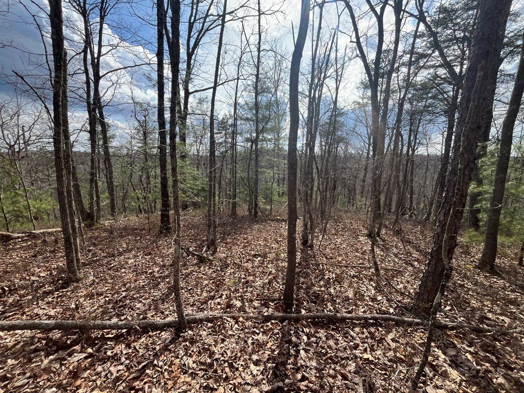Picture 14