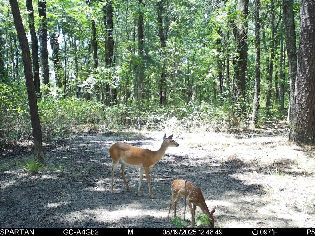 Picture 35