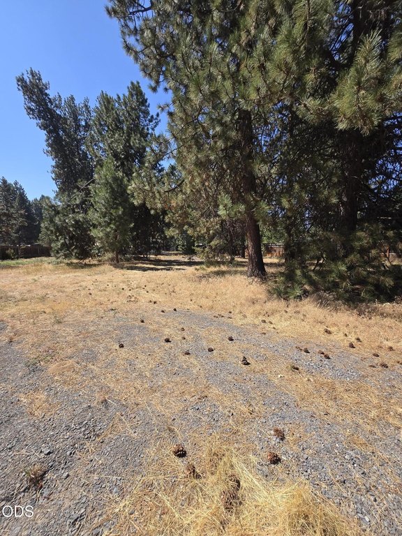 Picture 11