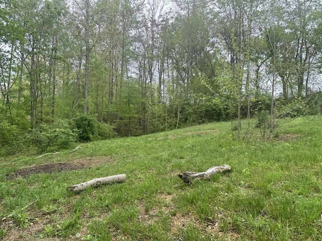 Picture 13
