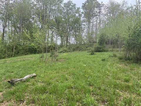 Scottsville Acreage For Sale