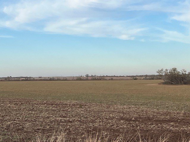 Picture 29