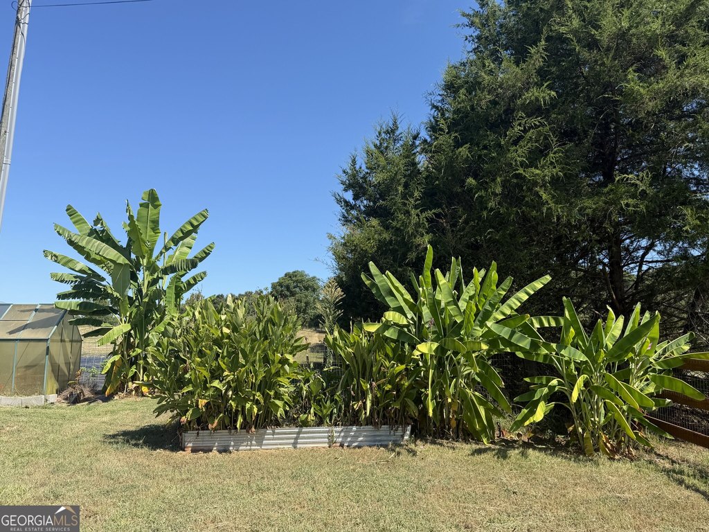 Picture 18