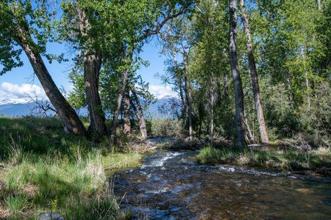 Scenic Land with Creek Access