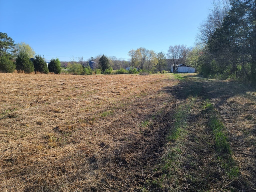 Picture 5