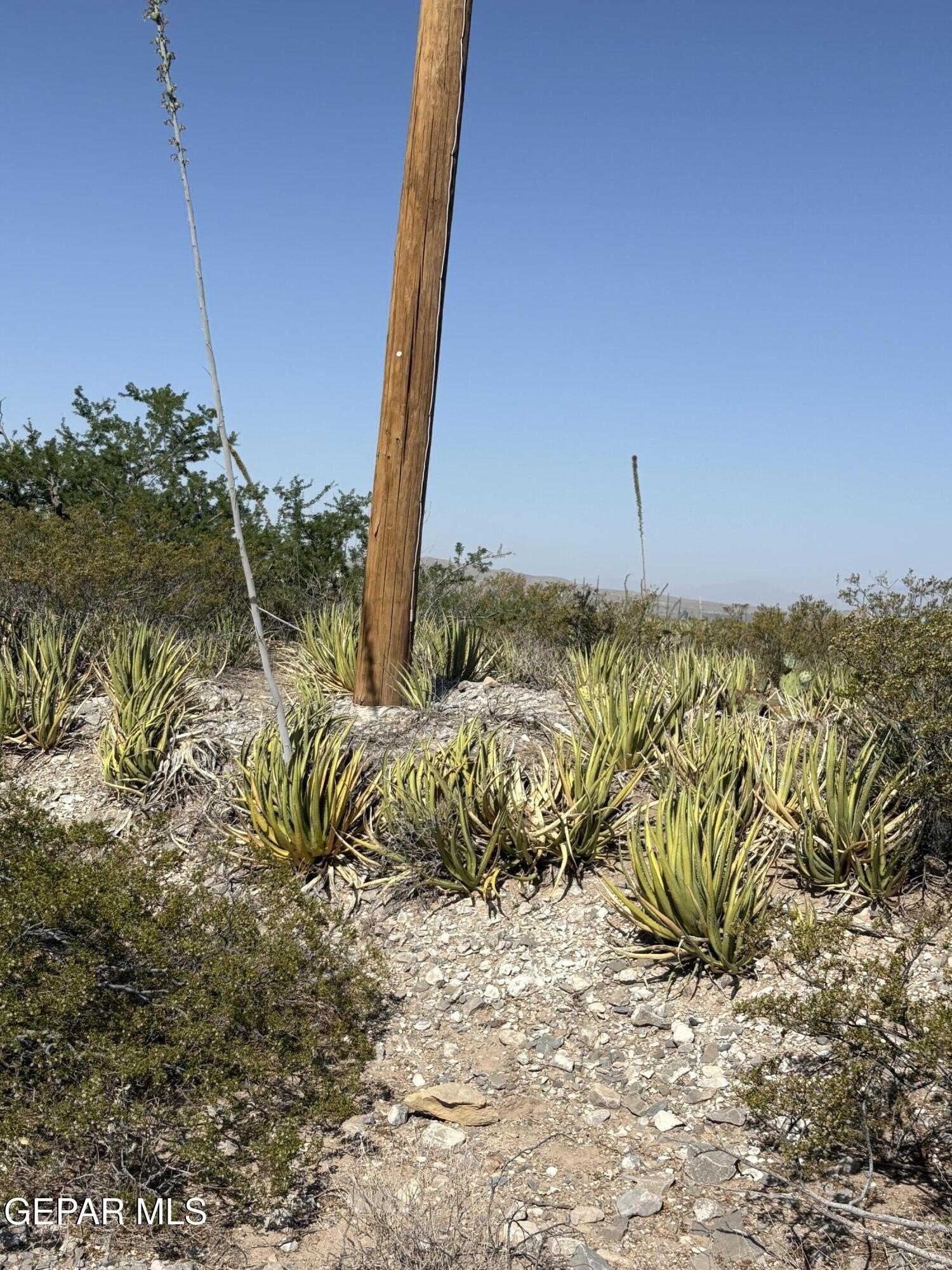 Land in Clint, Texas