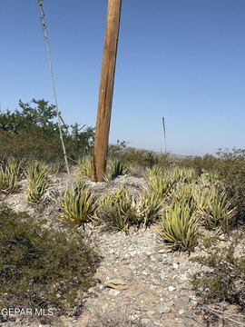 Land with Mountain Views