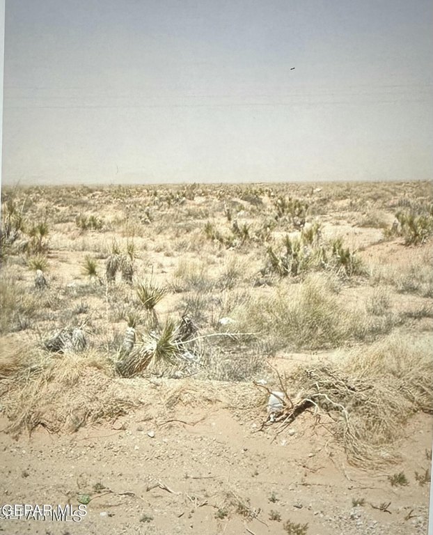 Picture 5