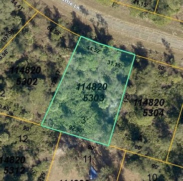 Residential Lot in North Port