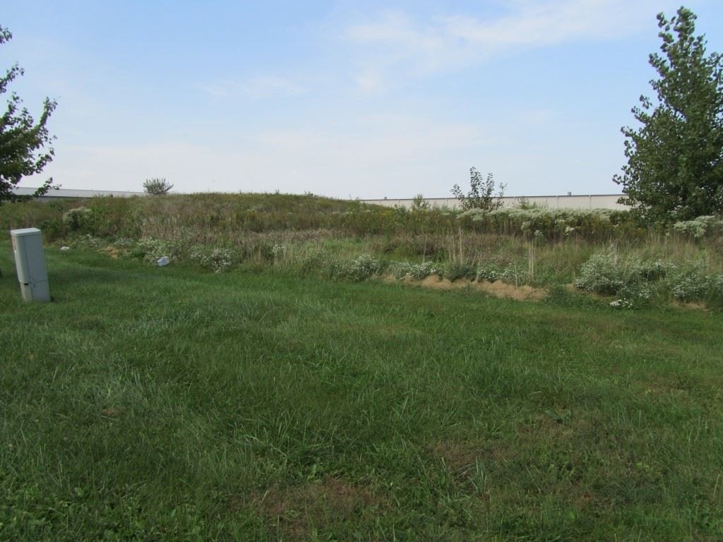 Picture 5