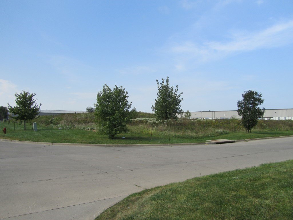 Picture 3