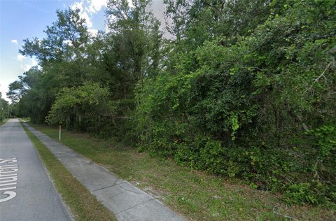 LAND - LAKE HELEN, FL