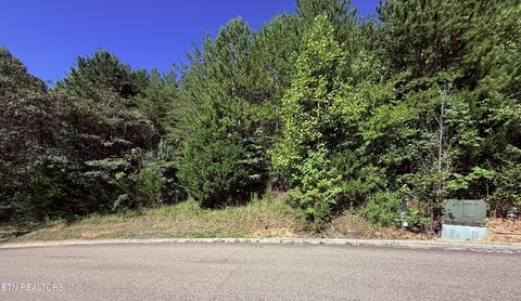 Lots & Acreage, Powell, TN