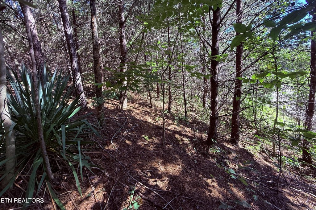 Picture 3