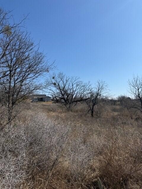 Picture 10