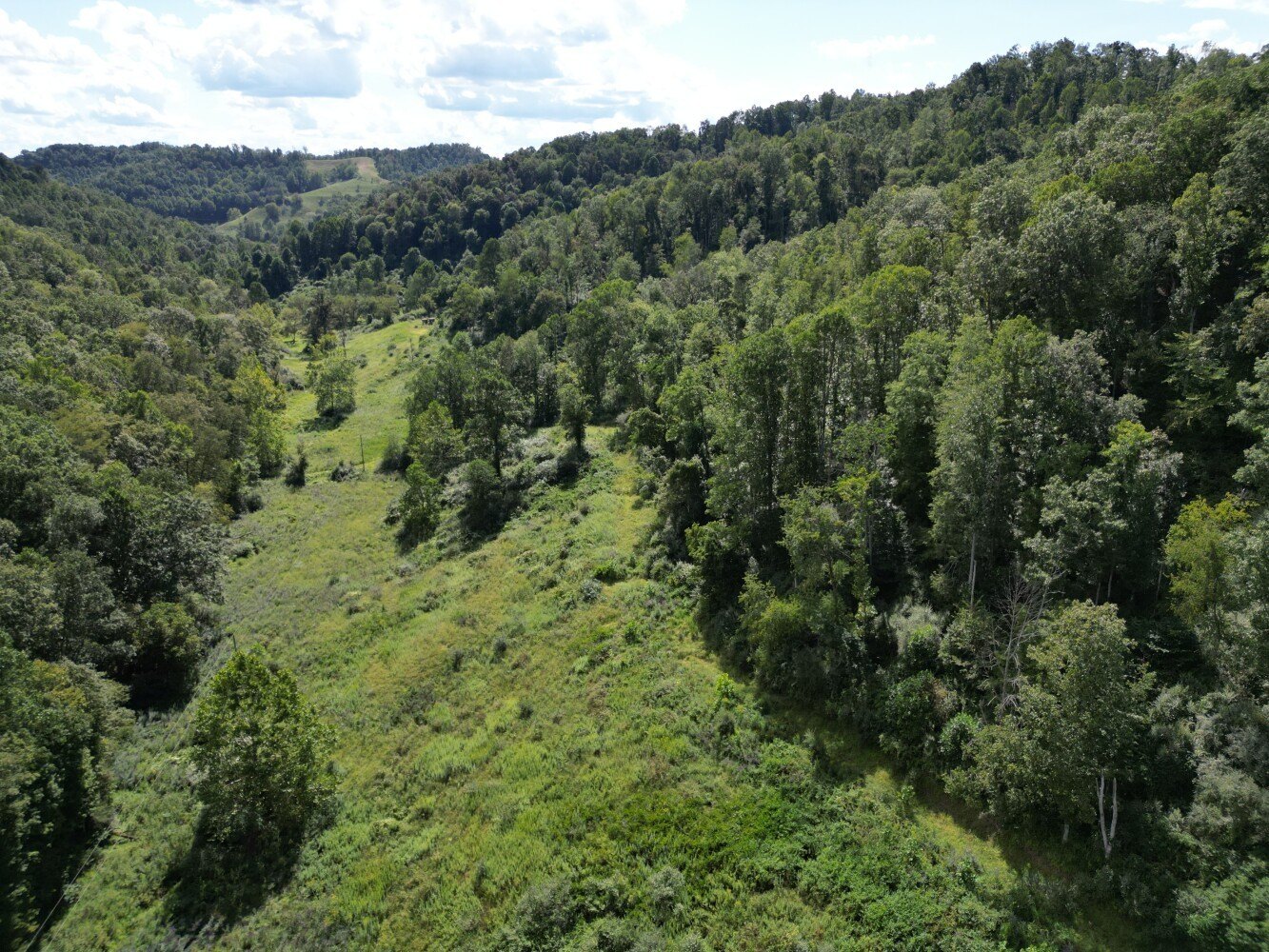 Secluded 184-Acre Wilderness Retreat