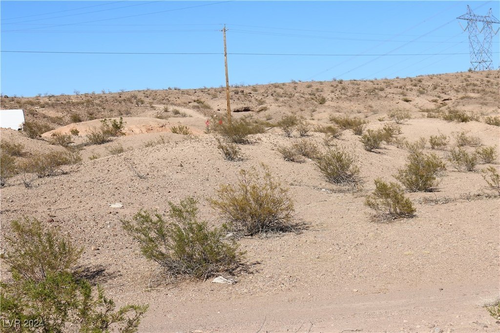 Picture 14