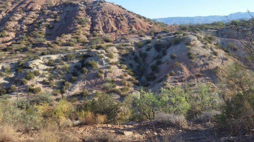 Picture 8