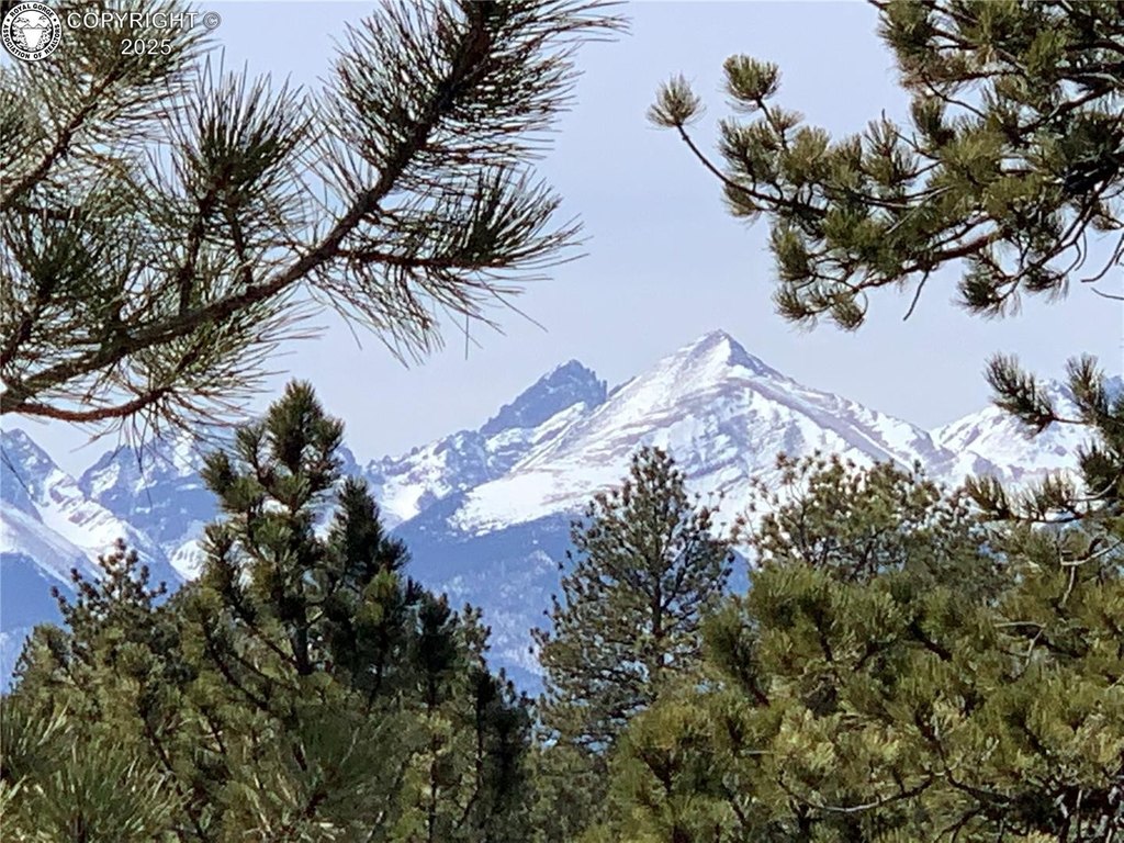 Picture 26