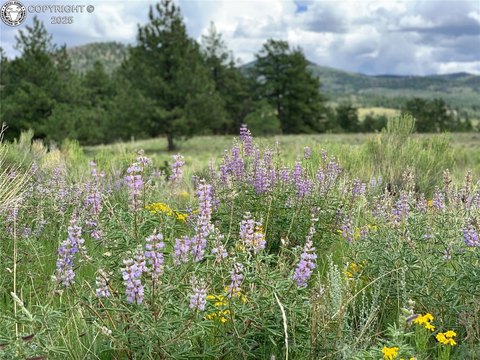 Land, Westcliffe