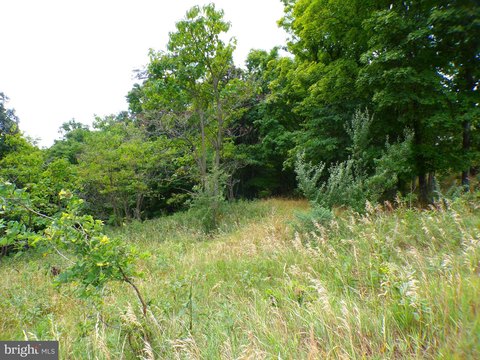 LAND - KEYSER, WV