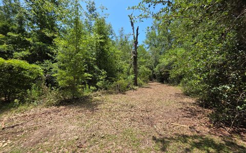 Lake City Residential Development Opportunity