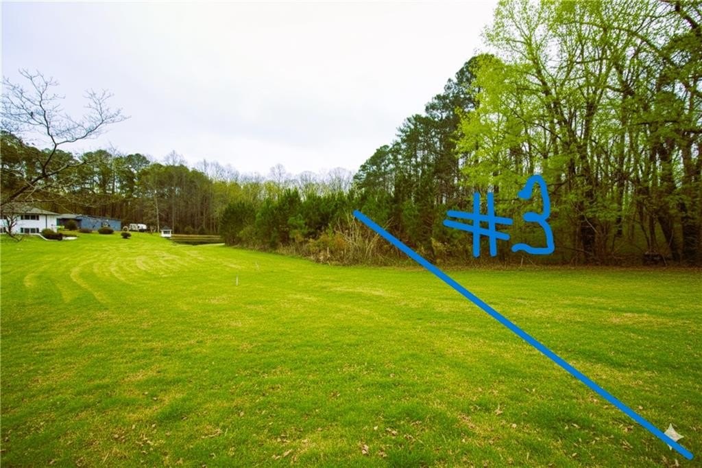 Picture 3