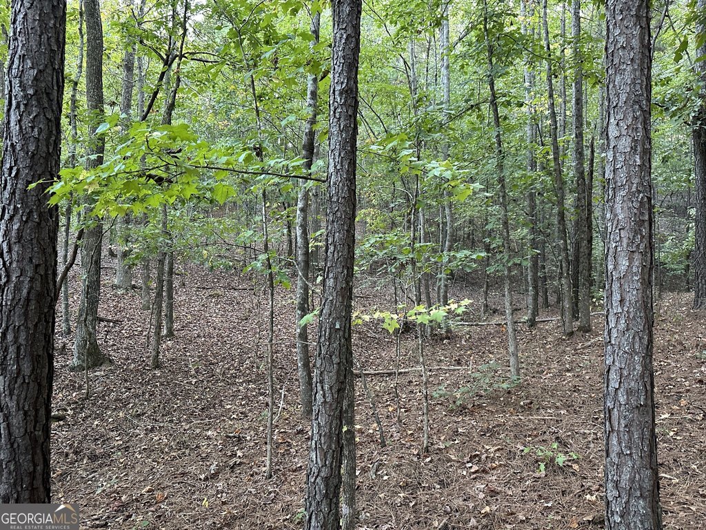 Picture 42