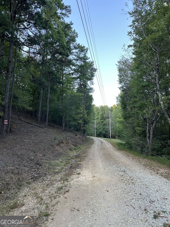 Picture 20