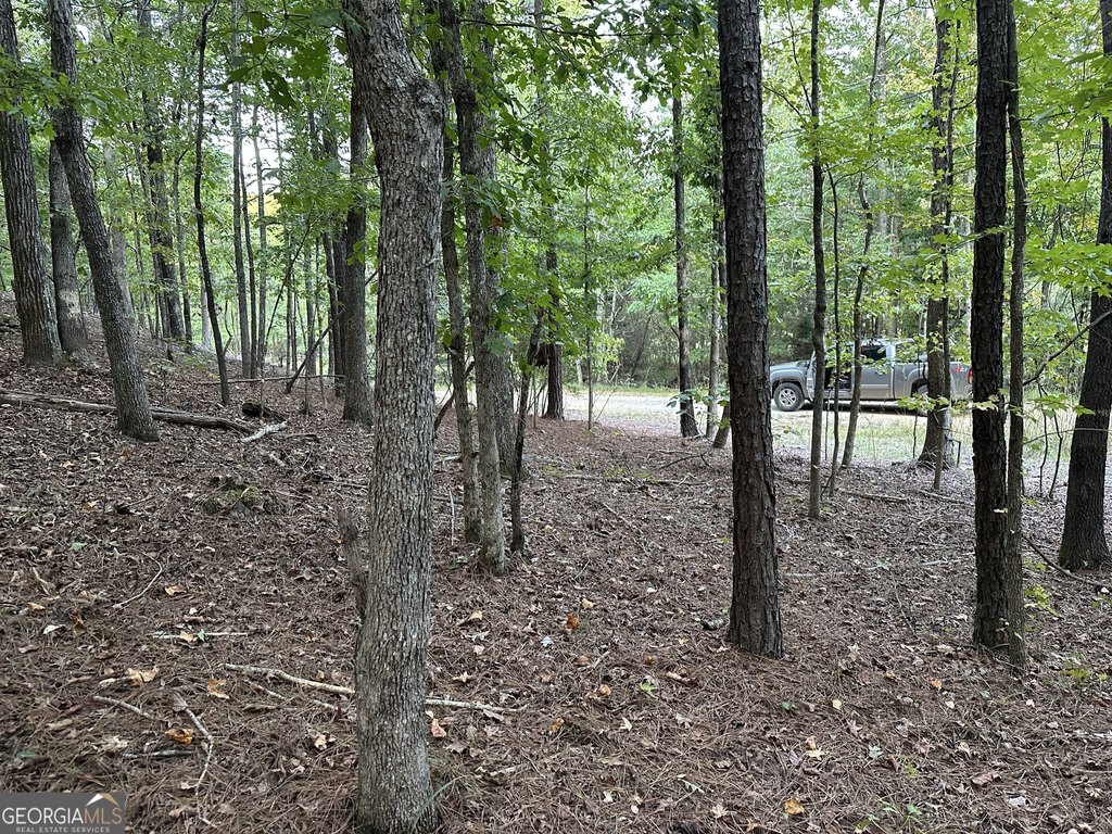 Picture 19