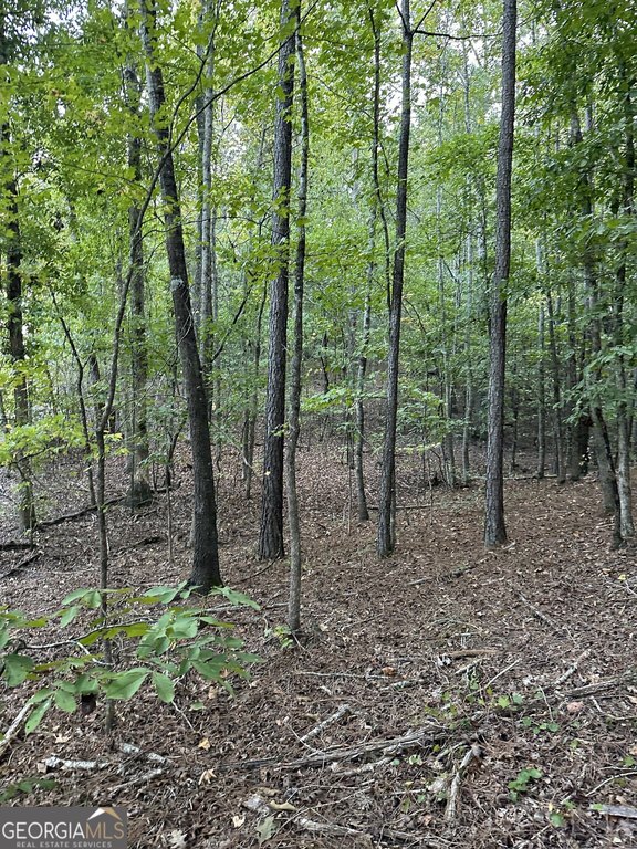 Picture 41