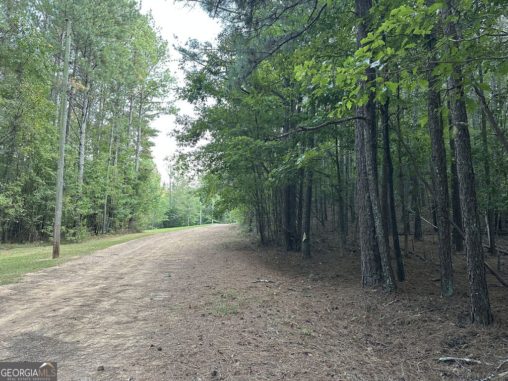 Picture 31