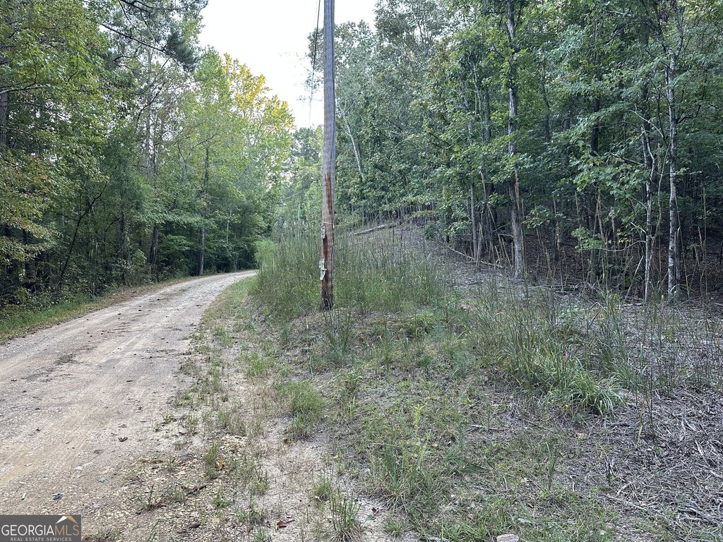 Picture 23
