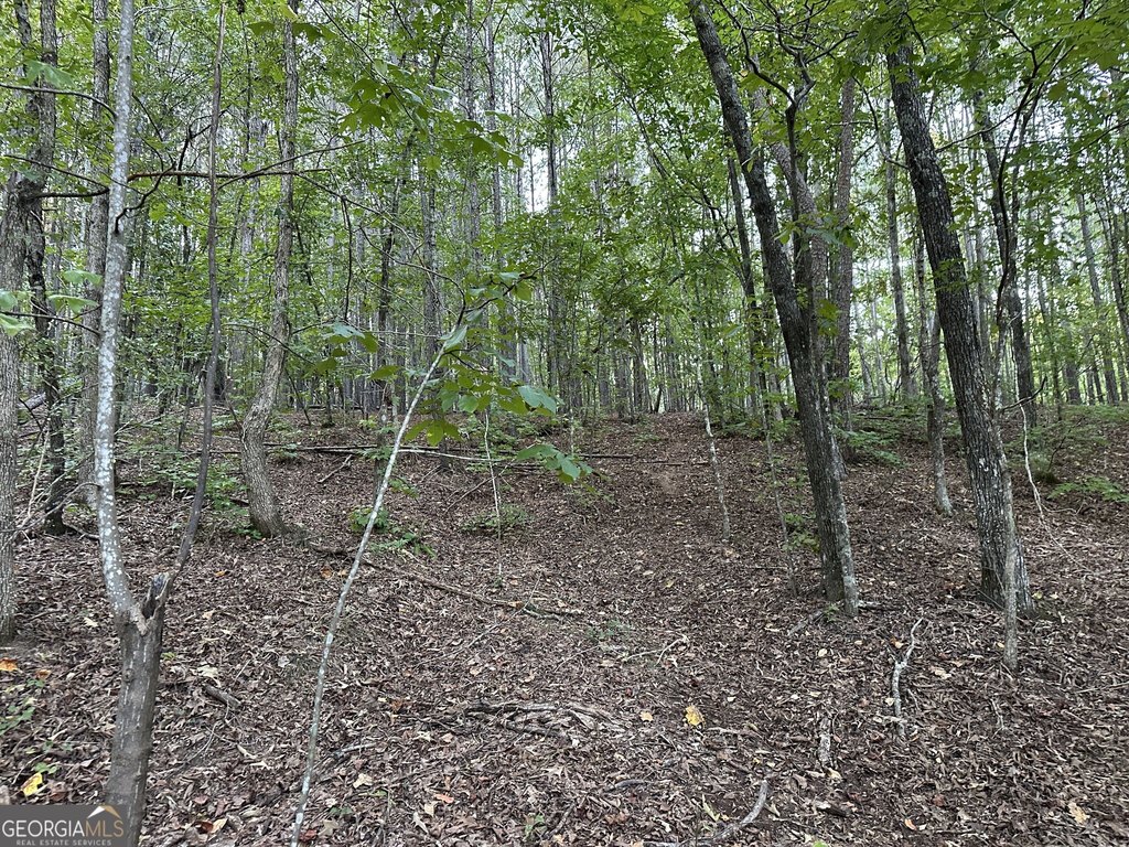 Picture 37