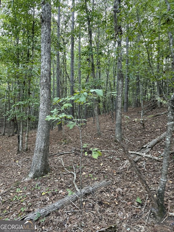 Picture 40