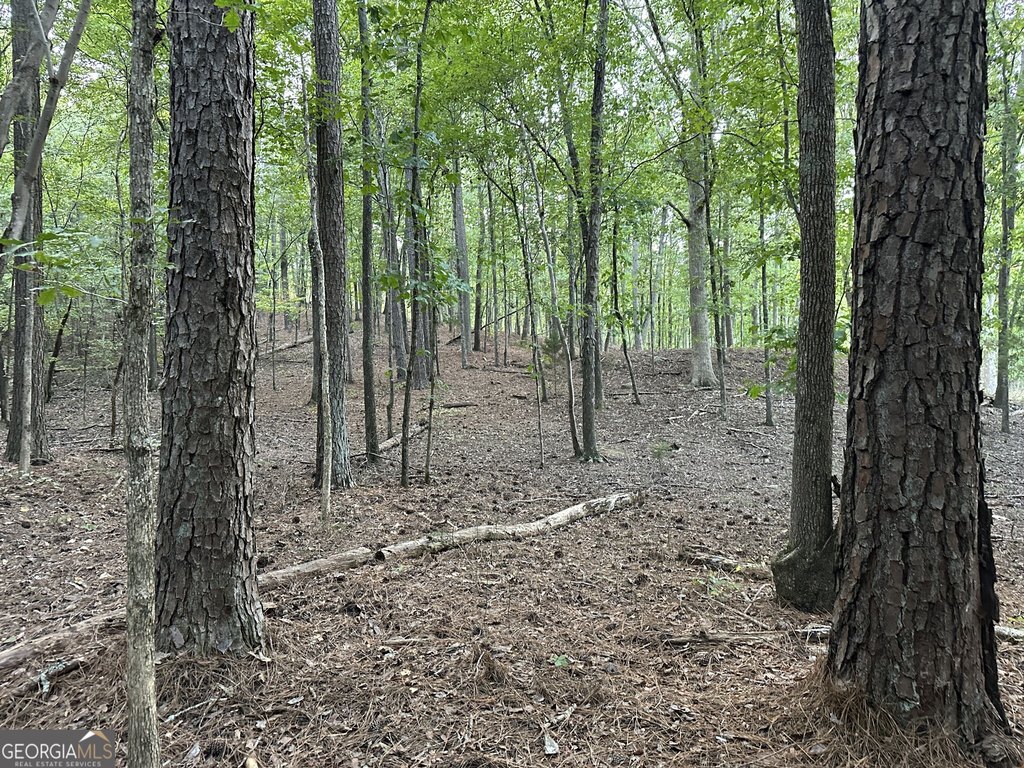 Picture 27