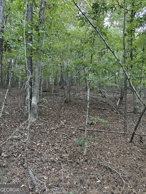 Picture 39