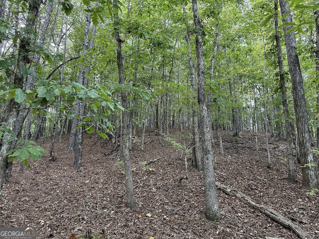 Picture 43