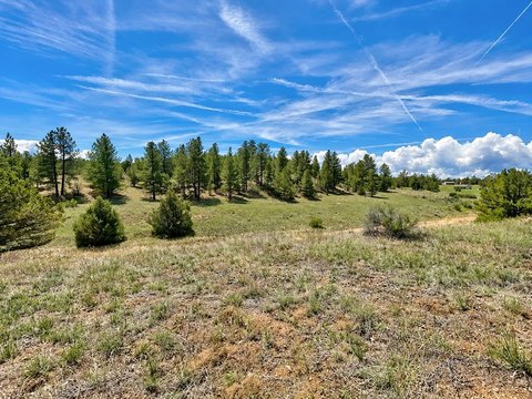 Vacant Land, Cotopaxi, CO